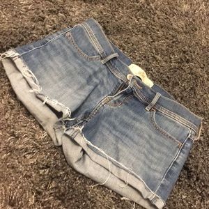 Hollister shorts